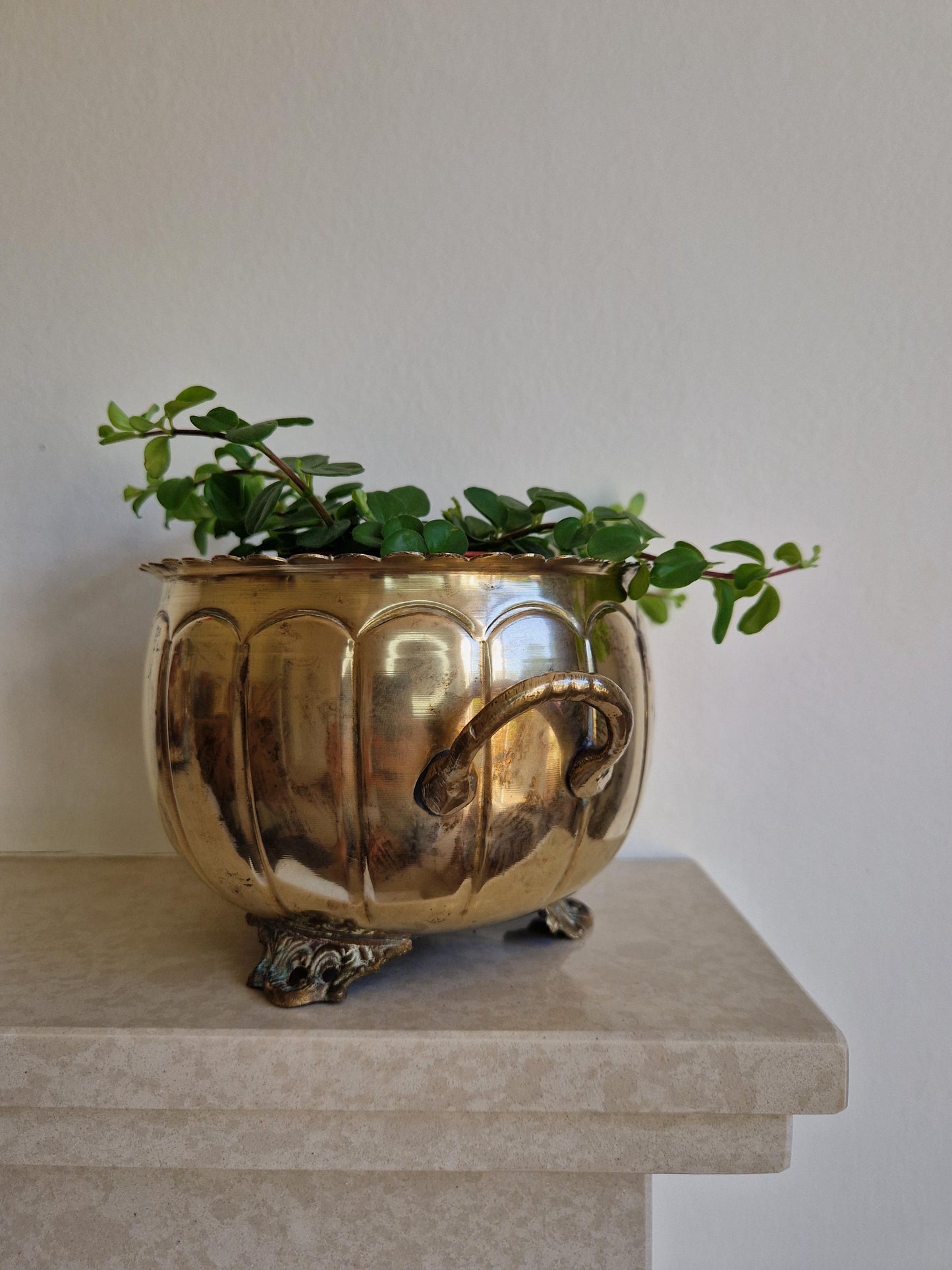 Antique Brass Footed Planter