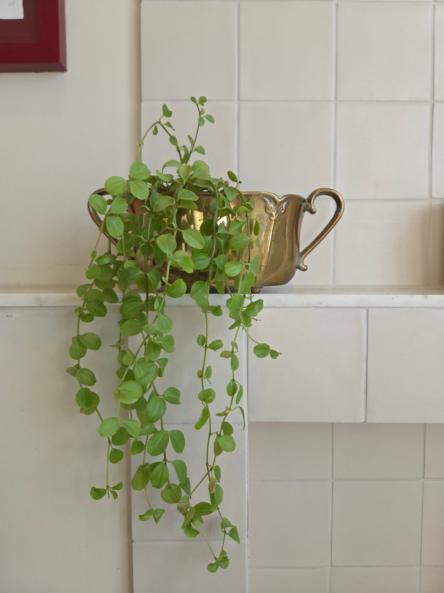 Vintage Brass Plant Pot Trough