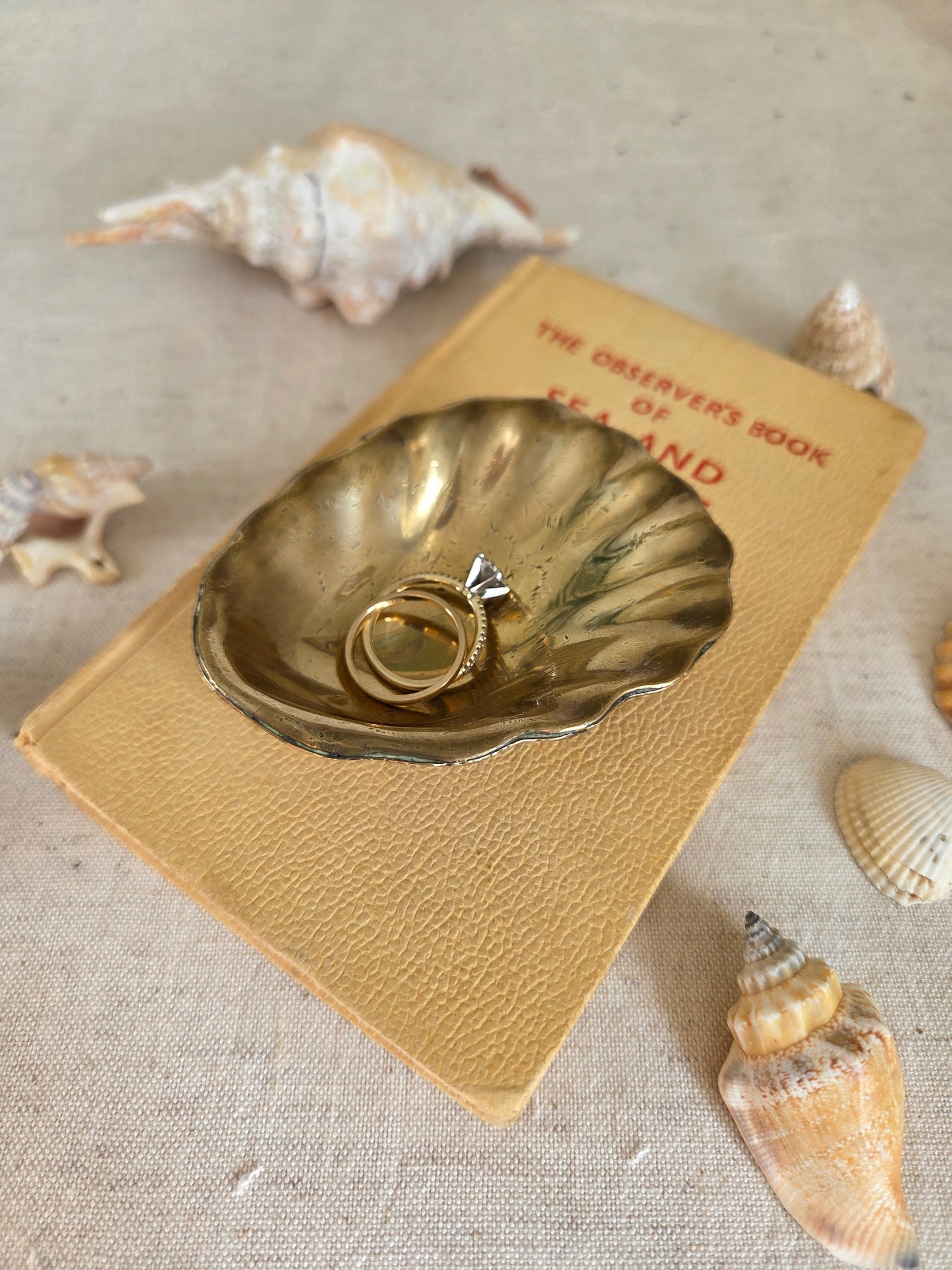 Brass Oyster Trinket