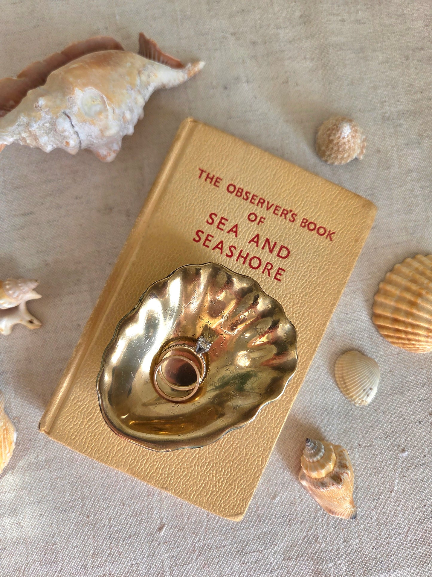 Brass Oyster Trinket