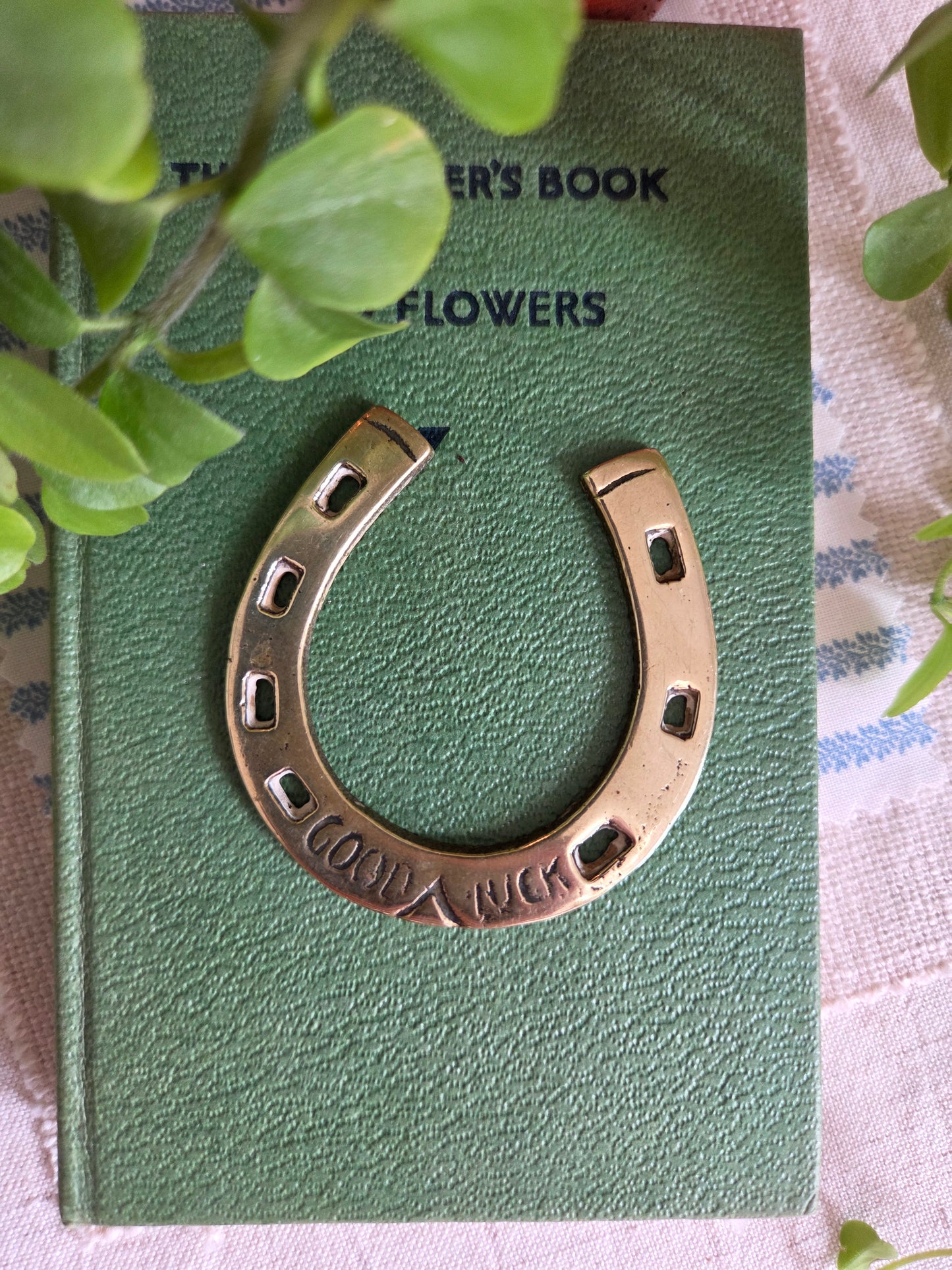Brass Horse Shoe Lucky Trinket